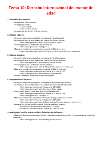 Tema 10 - Derecho internacional del menor de edad.pdf