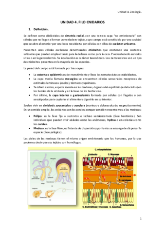 Unidad 4zoologia.pdf