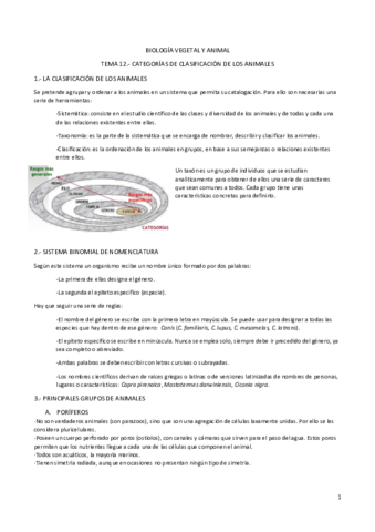 B. TEMA 12.- CATEGORÍAS DE CLASIFICACIÓN DE LOS ANIMALES.pdf