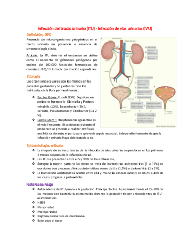 15 Infección del tracto urinario - ITU.pdf