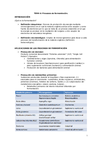 Tema 6- Procesos de fermentación (1).pdf