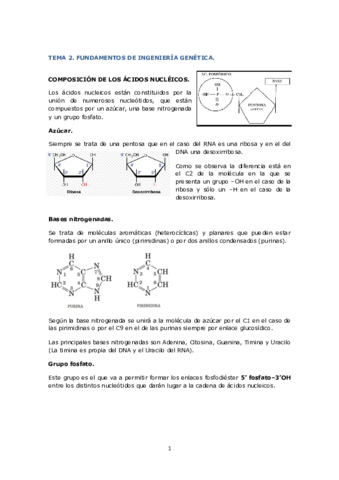TEMA 2. FUNDAMENTOS DE INGENIERIA GENETICA (1) (1) (1).pdf