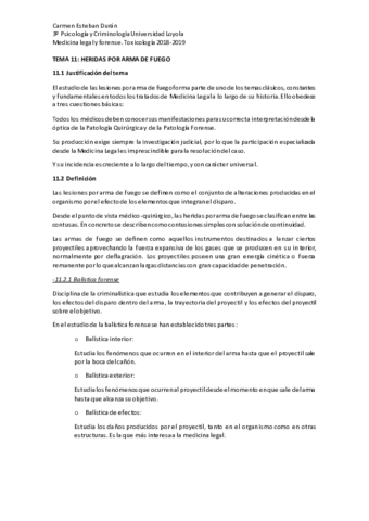 TEMA 11 ARMAS DE FUEGO + comentarios.pdf