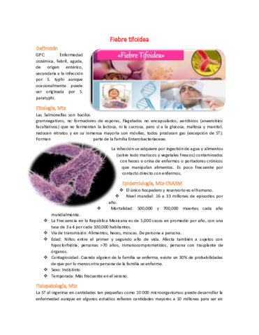 17 - Fiebre tifoidea FIEBRES ENTERALES.pdf