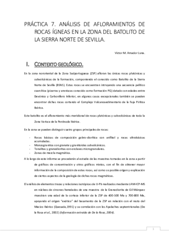 Práctica 7 BSNS - Víctor M. Amador Luna.pdf