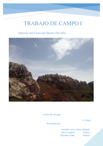 Informe Trabajo de Campo I - Cerro del Hierro.pdf