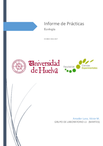 Práctica 2 - Amador.pdf