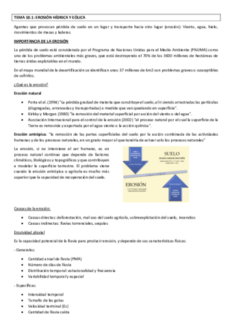 TEMA 10 GERENA redactado.pdf