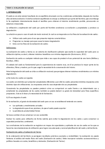 TEMA 9 GERENA redactado.pdf