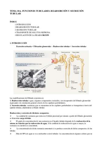 Fisio 10A.pdf