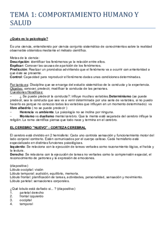 TEMAS 1-4 RAQUEL.pdf