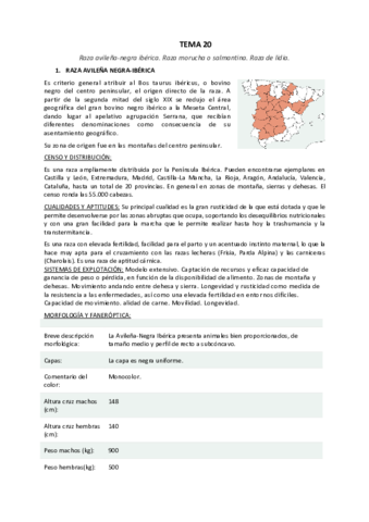 TEMA 20.pdf