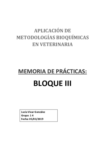 MEMORIA BLOQUE III.pdf