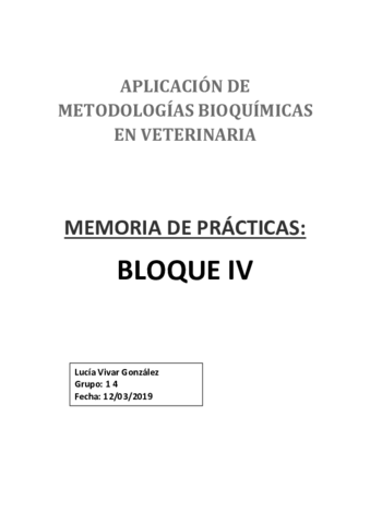 BLOQUE IV.pdf