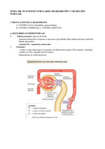 T10B. Funciones tubulares.pdf