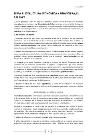 TEMA 1 - balance.pdf