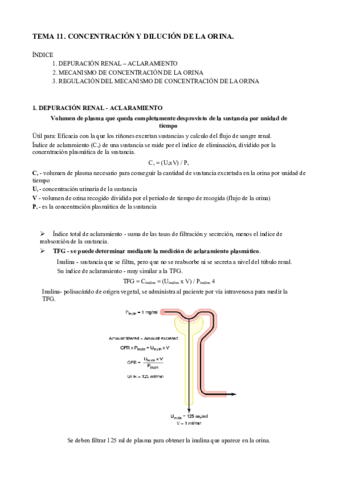 Tema 11A. Concentración y dilución orina.pdf