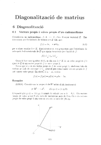 5. Diagonalització de Matrius.pdf