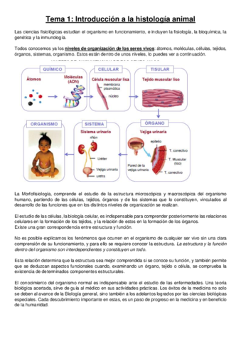 TEMA 1 Intro y tipos tejidos.pdf