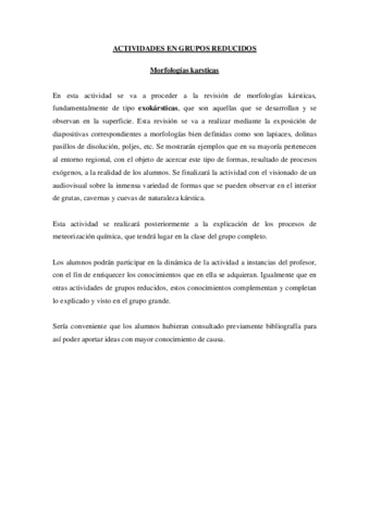 Grupo reducido - Actividad 2.pdf