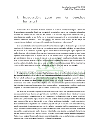 Apuntes DDHH (18_19).pdf