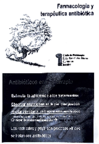 Tema 4 antibióticos definitivo.pdf