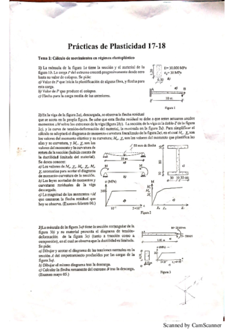 Bloque 2P.Plasticidad 1º Master.pdf