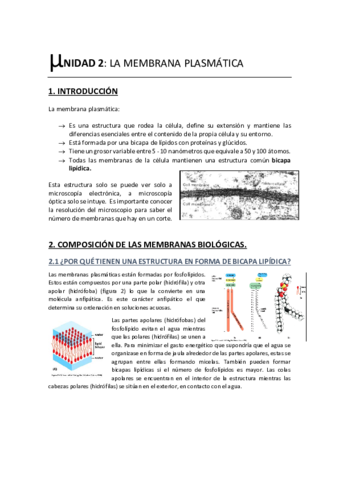 Unidad 2. La Membrana Plasmática.pdf