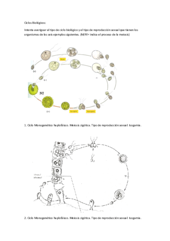 Problemas ciclos biológicos.pdf
