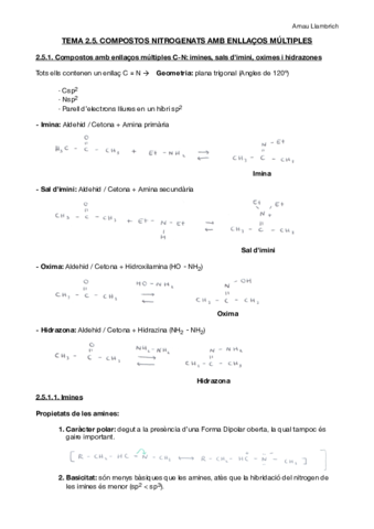 Apunts Química Orgànica I (Tema 2.5).pdf