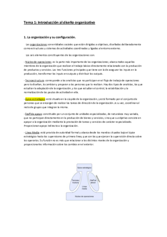 1. Introducción al Diseño Organizativo.pdf