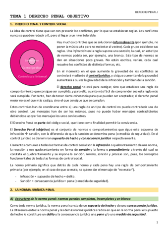 TEMA 1.pdf