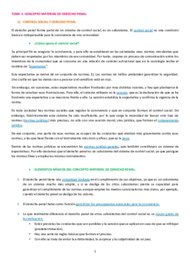 tema 1.pdf