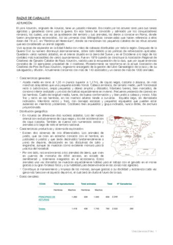 Razas equinos.pdf