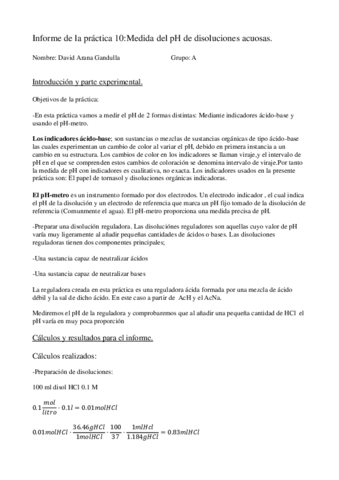 pH informe.pdf