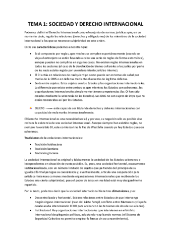 DERECHO INTERNACIONAL PÚBLICO.pdf