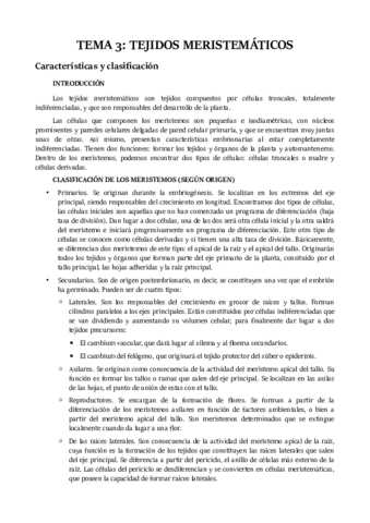 TEMA 3.pdf