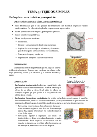TEMA 4.pdf