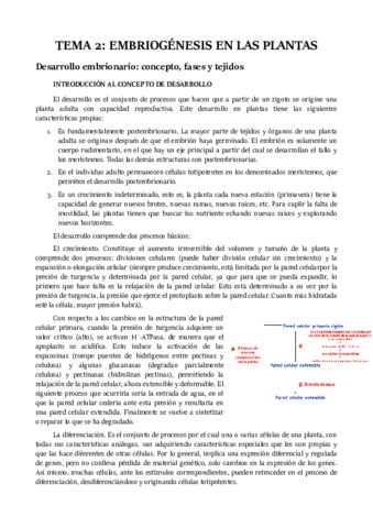 TEMA 2.pdf