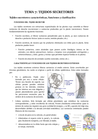 TEMA 7.pdf
