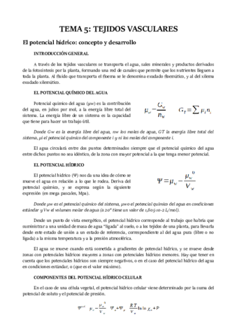 TEMA 5.pdf
