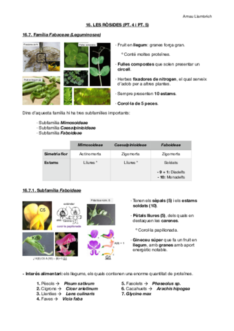 Apunts botànica farmacèutica (Tema 16 pt.4 i 5).pdf