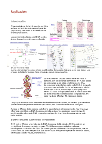Replicación y reparación del DNA.pdf