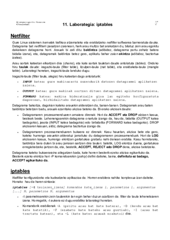 lab11_IPTABLES.pdf