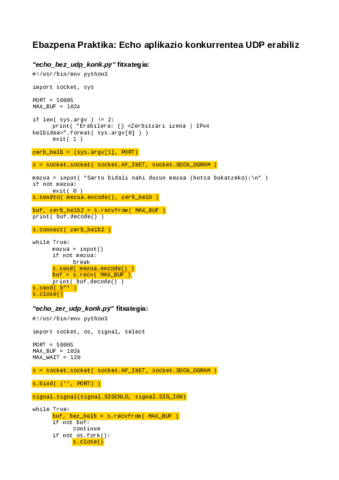 echo_udp_konk_eba.pdf