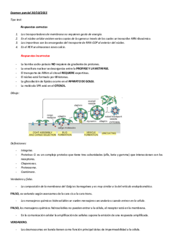 Examen parcial BCH1.pdf