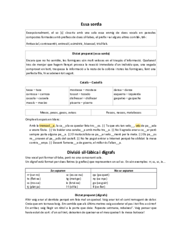 S sorda i dígrafs.pdf