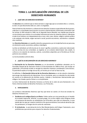 Comunicacion- Derechos Humanos e Igualdad - TEMA 1.pdf