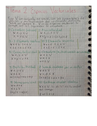 Tema 2 Espacios Vectoriales.pdf