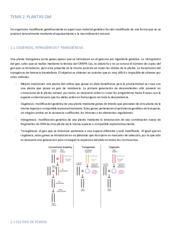 TEMA 2-Plantas GM.pdf
